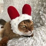 クリスマス帽子8