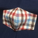 チェック 立体マスク