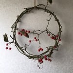  サンキライ  リース