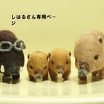 しはる様専用ページ　干支　いのしし　家族