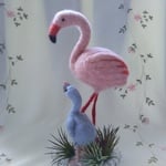 フラミンゴの親子   （予約中）