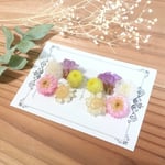本物のお花のリース ピンク❁イヤリング/ピアス