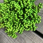  ペッパーベリー（グリーン）ドライフラワー