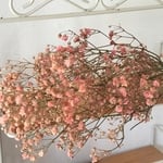 フロールエバーカスミソウピンク入荷❣️ハーバリウム花材プリザーブドフラワー