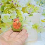 観賞用)サンタ衣装付き・ちっちゃリアルなインコさん(コザクラインコ)