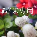 iさま専用⑅◡̈*