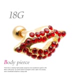 18G KISS ふっくり 唇 キラキラ リップ ボディピアス TPB032 GD×RED