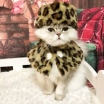 ロシアンにゃんこ(レオパード)