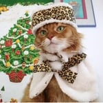 ロシアンにゃんこ(ベージュ✖️レオパード柄)