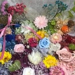 クリスマス限定BOX ハーバリウム花材