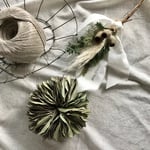 ポポラスのグリーンのクリスマスリース ドライフラワー