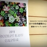 多肉植物カレンダー2019【壁掛けタイプ/A4サイズ】【リメ缶と同梱不可】