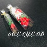 ☆送料無料☆愛を込めて花束を／赤薔薇5本花束＋赤薔薇1本