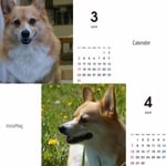 2019小梅の卓上カレンダー
