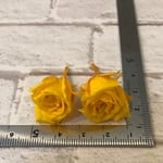 マイクロローズゴールデンイエロー入荷❣️ハーバリウム花材プリザーブドフラワー薔薇