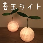 苔玉ライト