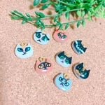 個性的なねこたちの集まり