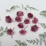 ミニ薔薇のドライフラワー  （マーブル)