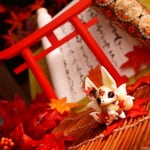秋九尾のフィギュア♪（天満月）