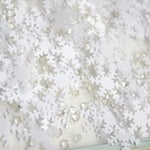 New！１５ｇ★雪の結晶片とクリアチップ