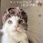 11月11日(日)21時頃入荷♡アニマルどんぐり帽子♡