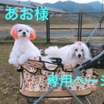 あお様専用ページ