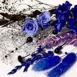 プリザーブドフラワー 薔薇 花材  215