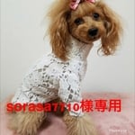 sorasa7710様専用