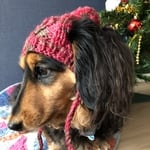 【18AW#28】犬用ニット帽