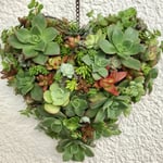 ♡豪華♡ハート型リース♡多肉植物♡可愛い♡多肉寄せ植え