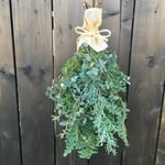 クリスマス エバーグリーンセット フレッシュ
