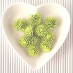 千日紅のドライフラワー<ライトグリーン10個>