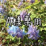 ゆっち様へ