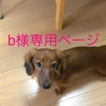 ｂ様専用ページです