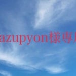 Kazupyon様専用
