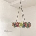 Flower wreath　【ハンギングリース/アンティークアジサイ】