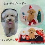 オーダー品2wayタイプ チョコちゃん💕