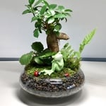 523n様オーダー