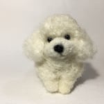 首かしげプードル(白)