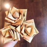 白樺のバラ