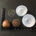 どんぐりモールド(まんまる大)ランダム発送