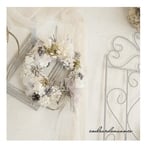 冬の木の実の white wreath☆。.:＊・゜