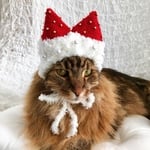 クリスマス帽子16