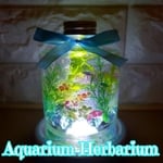 ハーバリウム Aquariumスタッキングボトル