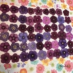 ♡人気作品♡ 作家様必見！ 落ち着いた大人カラー♡フロックス押し花セット
