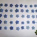 ｈ様専用ページ　 押し花素材　勿忘草