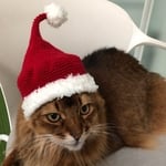 クリスマス帽子4
