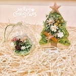 【クリスマス限定】クリスマスツリ−&テラリウム