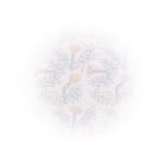 yuki2324mama様  専用♩