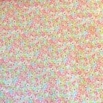 chataさま☆専用ページ